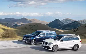   Mercedes-AMG GLS 63 4MATIC - 2009