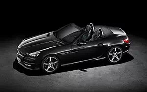   Mercedes-Benz SLK350 AMG Sports Package CarbonLOOK Edition - 2014